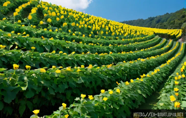 브랜드 마케팅과 소비자 심리학의 연관성 관련 이미지 2